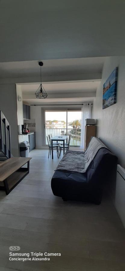 Vue Magique Sur La Marina - Appart En Duplex, Les Pieds Dans L'Eau Saint-Cyprien  Exterior photo